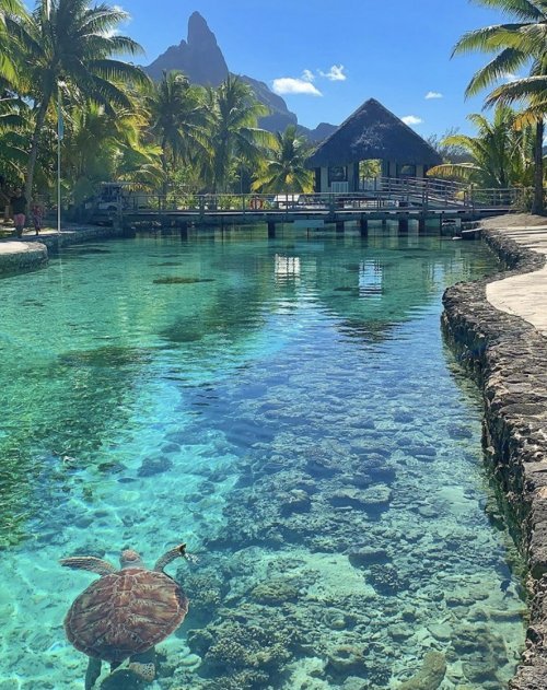 Color Inspiration - Bora Bora