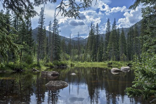 Color Inspiration - Eldora, Colorado