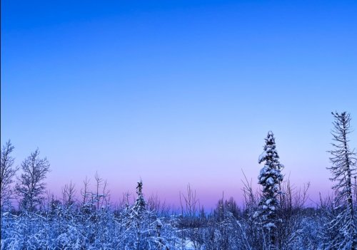 Color Inspiration - Alaskan Pastel Earrings