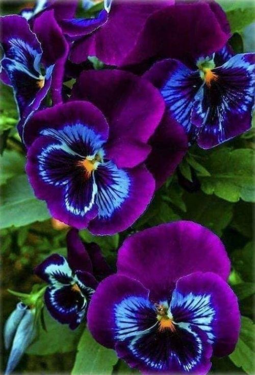 Kristal Wick's Color Inspiration - Enchanting Purple Passion - , Wire Jewelry Design, Design, color inspiration enchanting purple passion
