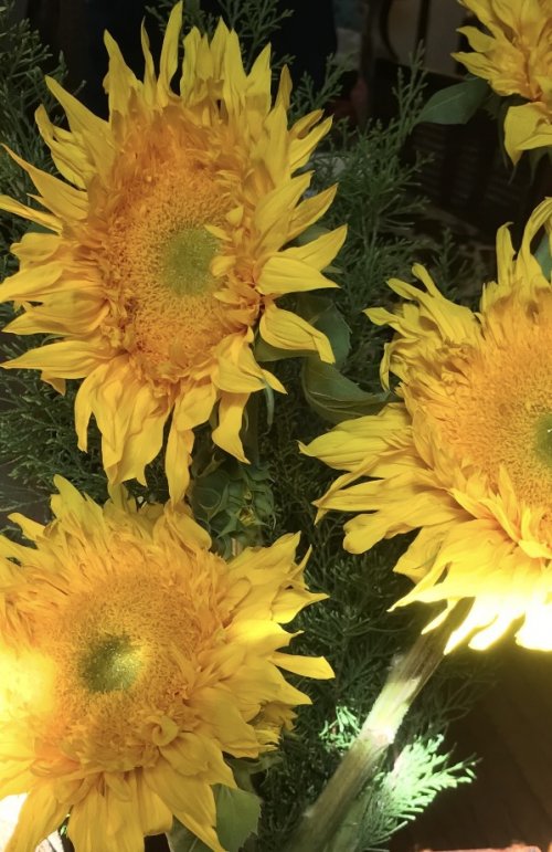 Nancy Chase's Color Inspiration - Sunny Sunflowers - , Wire Jewelry Design, Design, sunflower chain maille earrings
