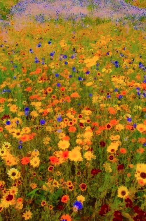 Kristal Wick's Color Inspiration - Boho Wildflowers - , Wire Jewelry Design, Design, color inspiration boho wildflowers