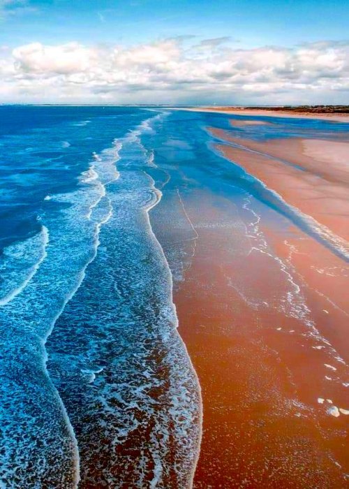 Kristal Wick's Color Inspiration - Sandy Beach Necklace or Bracelet - , Wire Jewelry Design, Design, color inspiration sandy beach