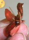 Judy Larson's Using a Tile to Cut Rivets - , Metalwork, How To Punch Holes, Hole Punching, Punch A Hole, Riveting, Riveting Techniques, Wire Rivets, Tools, Copper sheet flower