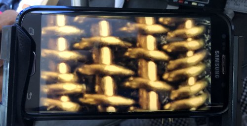 Kylie Jones's Use Your Phone as a Digital Microscope.  - , General Education, , phone as a magnifier 