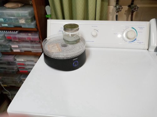 Judy Larson's Easy Ring Cleaning - , General Education, , easy ring cleaning