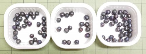 Judy Larson's What Happens To Pearls Not Worn, Cleaned, and Stored Properly - , General Education, , how to care for pearls